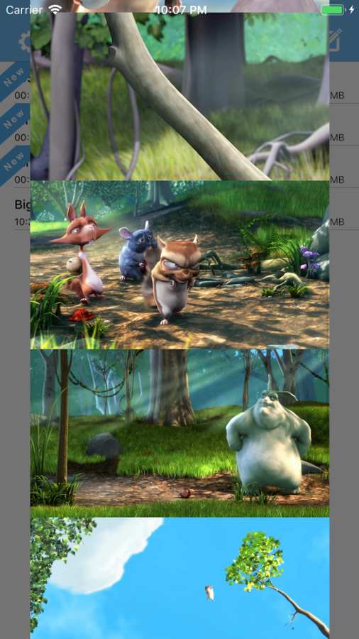 Swifter Playerv1.8截图4