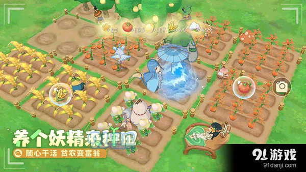 织梦森林正式版正版v1.1.25截图3