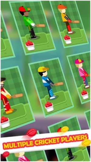 板球大赛v2.3.4截图2