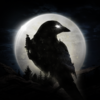 NightCrowsv1.0.35