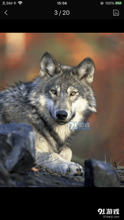 简单壁纸库v1.0.3截图2