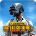 地铁逃生pubg国际服手游v5.8.28