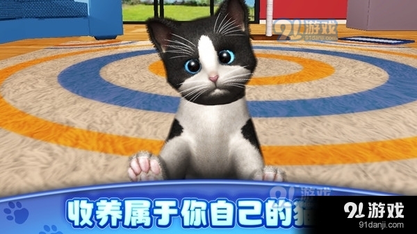 真实模拟宠物v1.3.3截图1