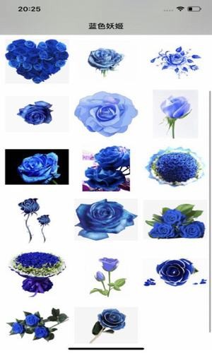 蓝色妖姬v2.7截图2