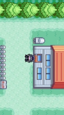 口袋妖怪绿宝石金手指版本v4.0.5截图1