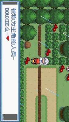 口袋妖怪绿宝石金手指版本v4.0.5截图2