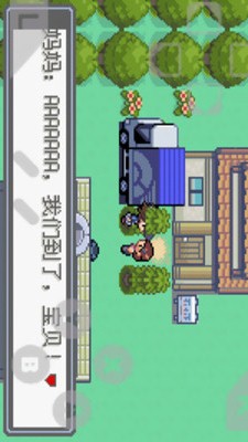 口袋妖怪绿宝石金手指版本v4.0.5截图3