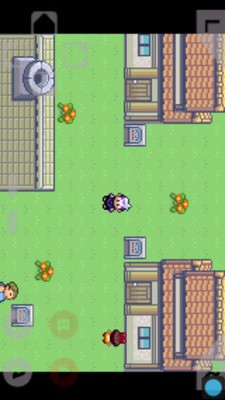 口袋妖怪绿宝石金手指版本v4.0.5截图4