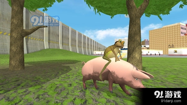 神奇青蛙v1.04截图3