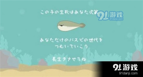 萨卡班甲鱼v1.4.6截图1