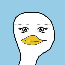 爱上我的鸭v1.10