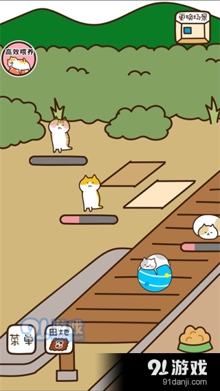 猫咪田园无限金鱼v2.4.10截图3