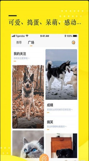 蛋挞短视频v1.3.4截图1