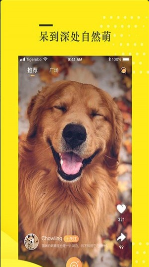 蛋挞短视频v1.3.4截图2