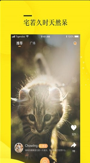 蛋挞短视频v1.3.4截图3