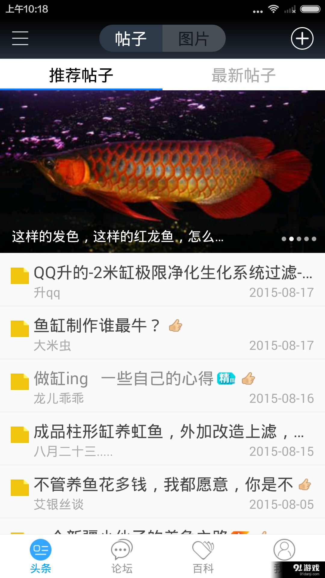 龙巅观赏鱼v2.17截图1