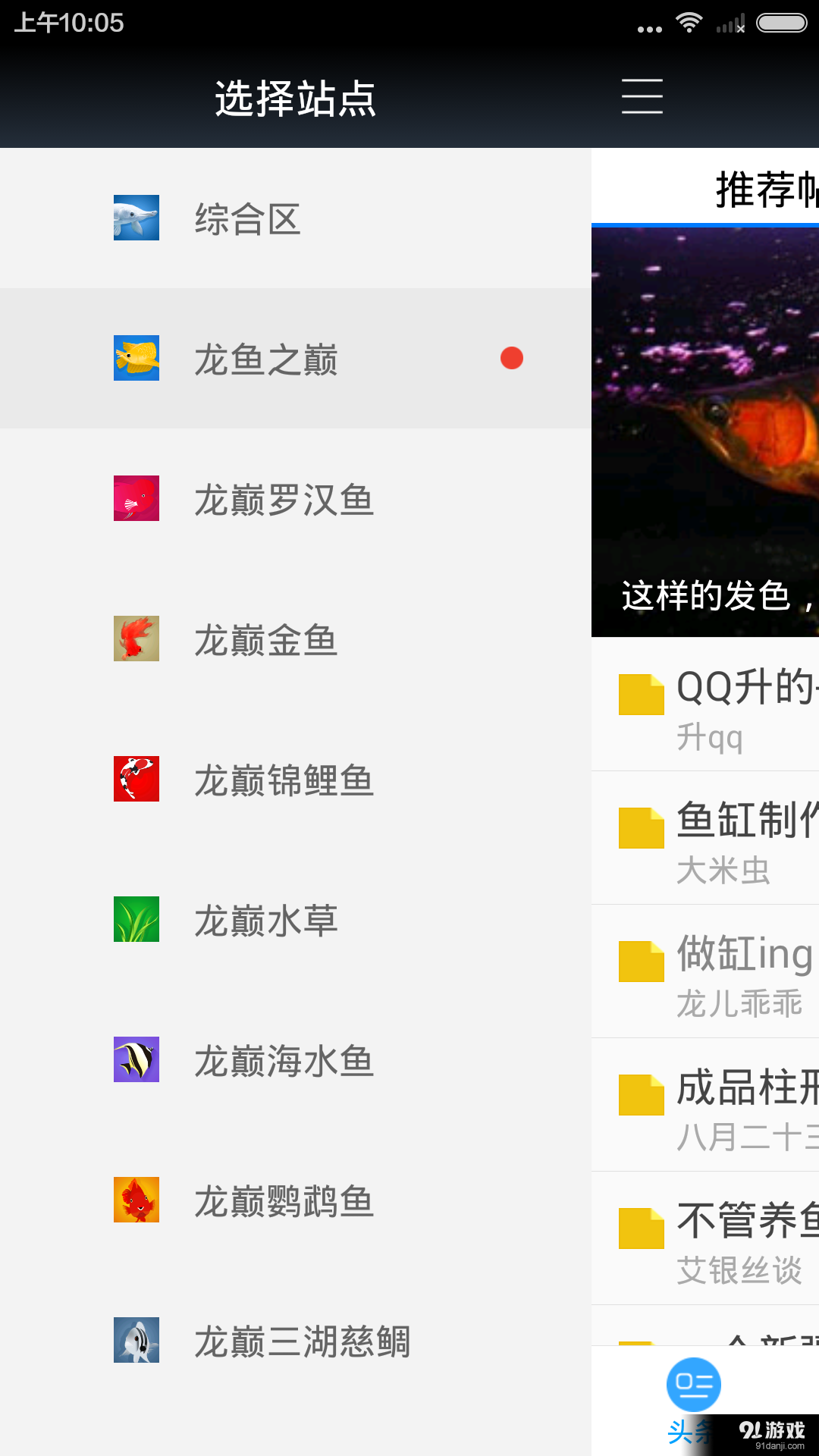 龙巅观赏鱼v2.17截图2