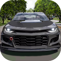 王牌飞车手免广告手机版v1.6