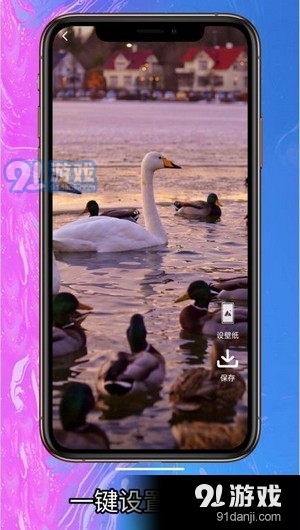 简单壁纸v1.3.4截图4