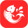 锦鲤派v1.9.5