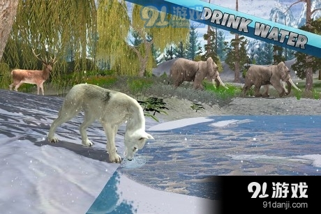 雪狼玩耍v2.10截图1