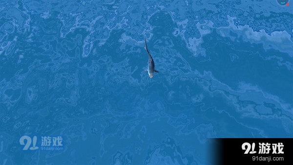 鲨鱼模拟狙击v1.3.5截图5