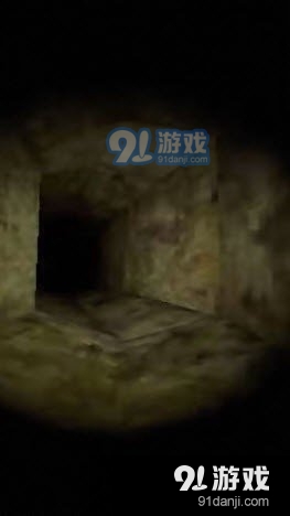 警笛头恐怖迷雾免广告版v1.08截图3