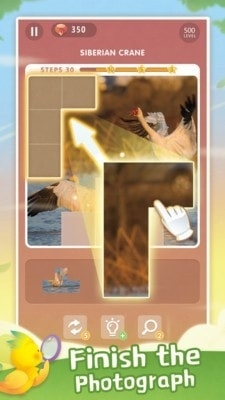 小鸟排序拼图v1.3.0.6截图1
