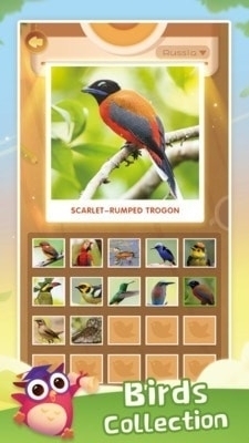 小鸟排序拼图v1.3.0.6截图3