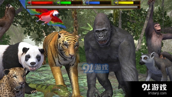 金钱豹模拟器v1.7截图4