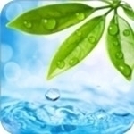 轻轻一点安卓v3.09.05