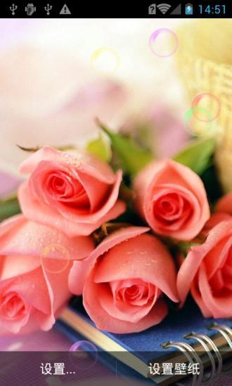 恋玫瑰花动态壁纸v1.6截图1