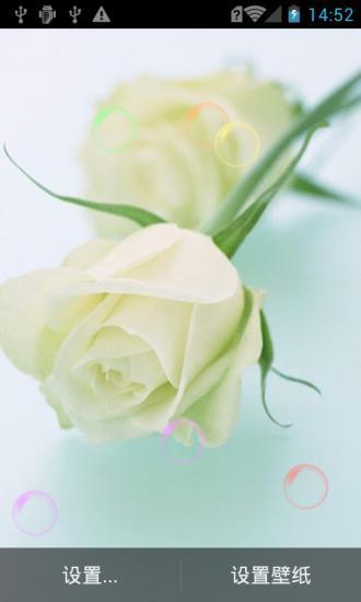 恋玫瑰花动态壁纸v1.6截图3