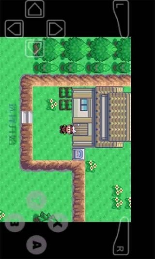 口袋妖怪超梦v1.3.7截图3