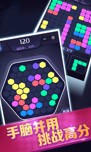 俄罗斯拼图消除v2.8截图2