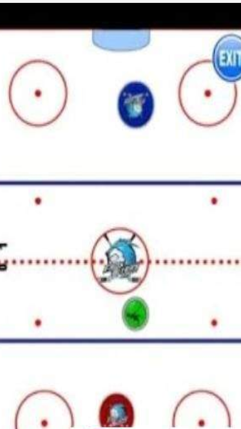 冰球狂怒v1.30截图1