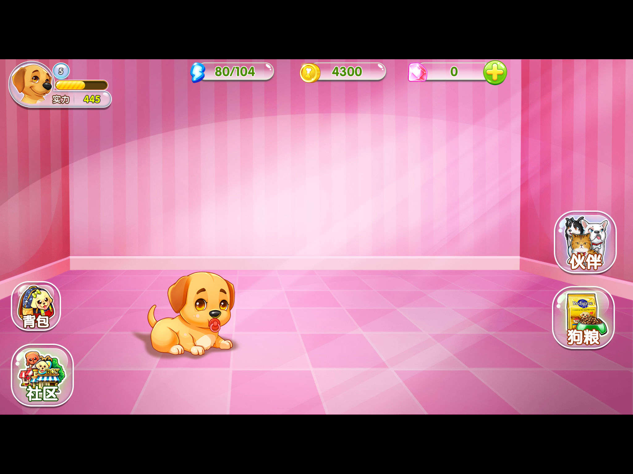 神犬小七2v1.7截图3