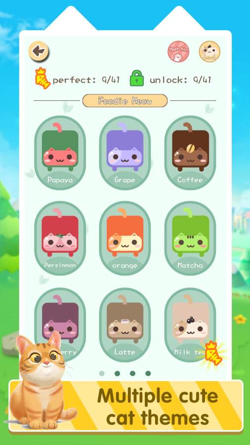 一条猫v1.4.5截图2