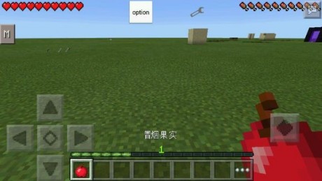 我的世界海贼王模组v1.16.221.05截图2