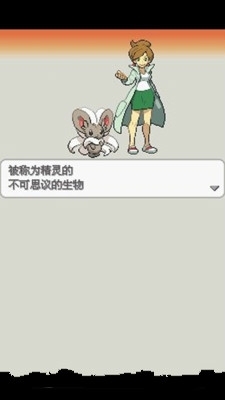 口袋妖怪:白2649版v4.9.9.12截图2