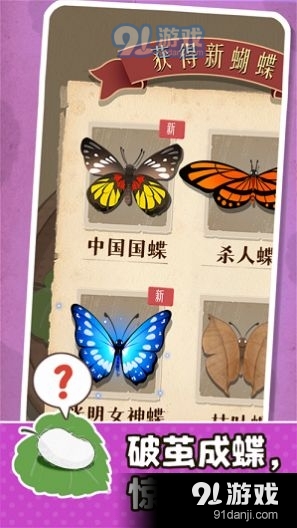 小小养蚕师v0.4.3截图1