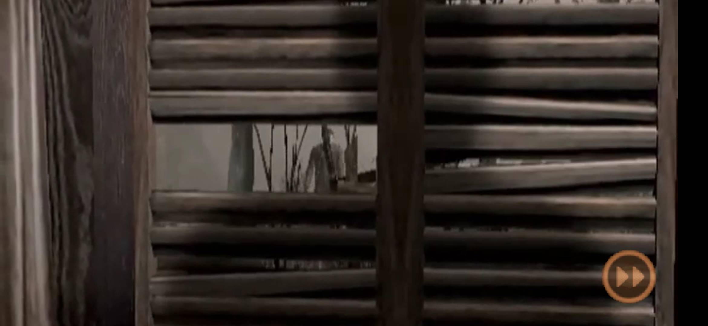 生化危机4游戏v2.2.7截图2