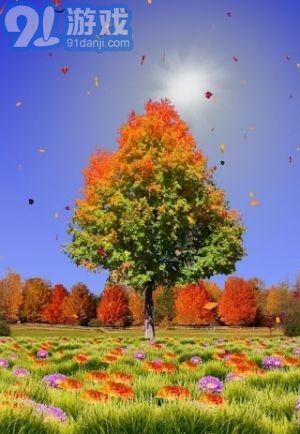 秋天动态壁纸v2.68截图1