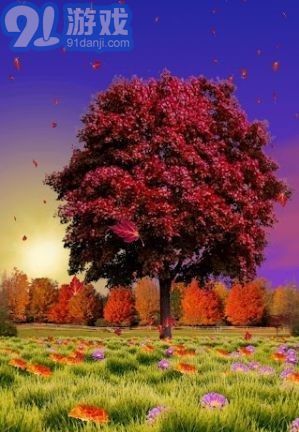 秋天动态壁纸v2.68截图3