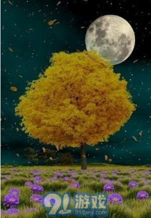 秋天动态壁纸v2.68截图4