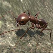 3d蚂蚁模拟器免广告版v3.3.8