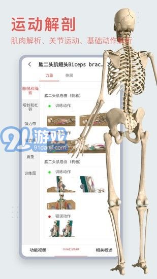 3Dbody艺用v8.5.12截图1