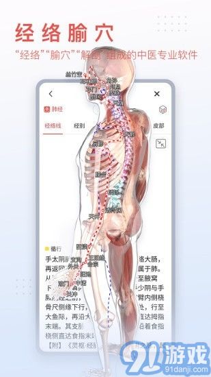 3Dbody艺用v8.5.12截图2
