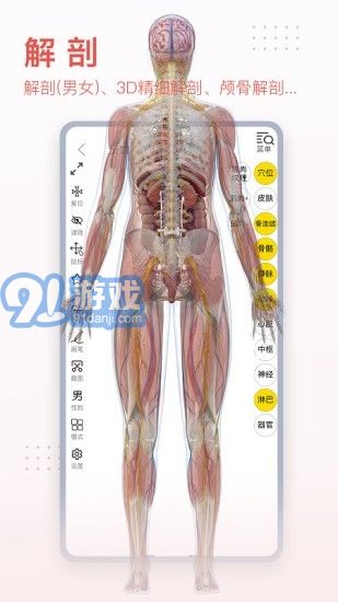 3Dbody艺用v8.5.12截图3