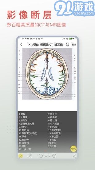 3Dbody艺用v8.5.12截图4